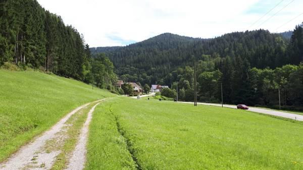 Be Me Black Forest Family Apartment -Zum Letzten G'Stehr Bad Rippoldsau-Schapbach المظهر الخارجي الصورة